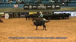 Cavalo do ano Aberta ANCA 2024/2025 - Sugar Kat DMFR