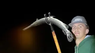 Late night catfishing/gigging in South Carolina