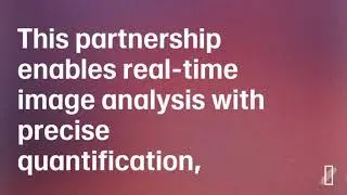 Real Time AI Analysis during Whole Slide Imaging with Techcyte, Aiosyn, and Pramana