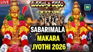 Sabarimala Makaravilakku 2026 LIVE: Makara Jyothi In Sabarimala 2026 | Sabarimala Makaravilakku 2026