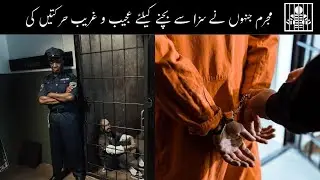 Most Dramatic Ways to Escape Punishment | The Real-Life Stories of Criminals | Criminals