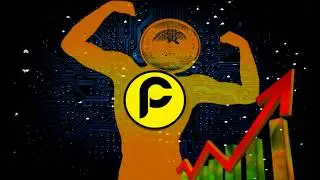 PACCOIN price jumps another 110% in 24 hours