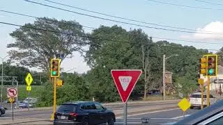 New Temporary Eagle Traffic Signals (Willard Street & Ricciuti Drive)