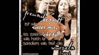 Schelmish - Das Moor