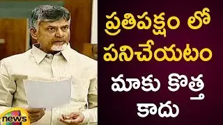 Chandrababu Naidu About His Opposition Leader Position | AP Assembly Session 2019 | Mango News