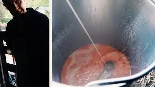 Blood in the Milk