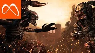 MOGA Minute: AVP Evolution