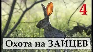 TheHunter Call of the Wild. На ОХОТУ.  ОХОТА НА ЗАЙЦЕВ  # 4