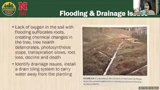 Water Management and Tree Nutrition