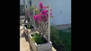 Sol Falco(Grounds/Pools)Son Xoriguer, Menorca (May2022)