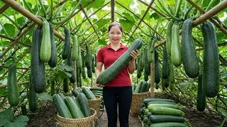 TIMELAPSE -- Harvest 1000+ Giant Green Squash, Mushrooms, Tomatoes, Potato ... Go to Market Sell