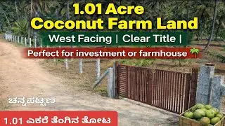 1.01 Acre Coconut Farm Land | Perfect for investment or farmhouse 🌴📞 Call 7619398566