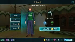 Hogwarts Mystery Quidditch Beater Friendly Match