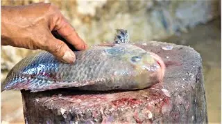 Amazing Giant Tilapia Fish Cutting Live In India Fish  (part-65) #fishcutting1 #talapiafishcutting