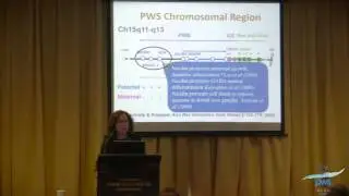 Sensory integration   DR J FORSTER