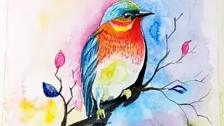 How to draw bird by water colour for beginners?#indiandrawing