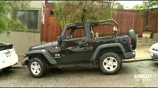 San Francisco Police Searching For Serial Arsonist Setting Cars On Fire