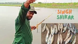 Fish Videos | Local Fishing Technique 🐠 | Triple Hook Fishing 🪝 | Fishing