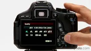Учебное пособие по цифровой зеркальной фотокамере Canon &mdash; варианты формата и размера изображения