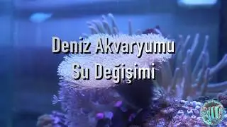 DENİZ AKVARYUMU | SU DEĞİŞİMİ | MEHMET HAKAN TATLICI