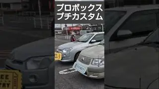 ノーマルプロボックス 鍵穴カバー