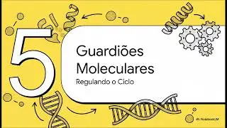 Ciclo Celular Completo + C&acirc;ncer: Mitose, Checkpoints, p53, Oncogenes e Supressores Tumorais - 58