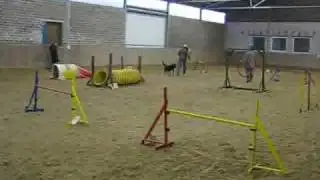 Agility Generalprobe vor dem Winterjump Turnier in Kempen