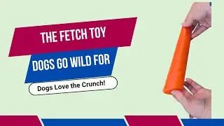 My review of the Chuckit! Super Crunch Fetch Stick Dog Toy