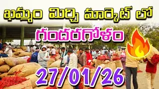 27/01/2026 KHAMMAM MIRCHI MARKET PRICE UPDATES, JENDA PATA 