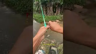 🐟 Countryside Fishing Challenge Can I Catch Fish With Only Natural Tools 🌾