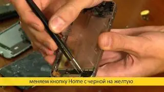 Моддинг iPhone 4: меняем стандартный корпус на жёлтый