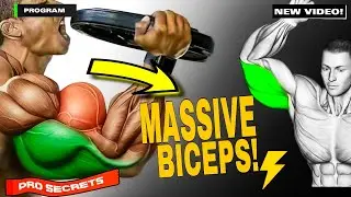 How to Build Massive Arms: The Only Biceps & Triceps Guide You Need
