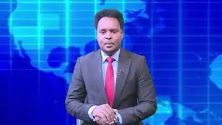 Warka Universal TV 23 08 2026