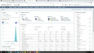 Netsuite Record to Report