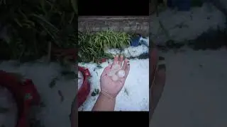 Effects of hailstorm 5th May 2024(Sunday) Manipur #manipurstorm #hailstorm #haistones #imphal
