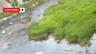 الأسباب بيد الله وحده