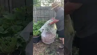 Amazon Find You Need For Your Garden
