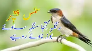 #ShamsFaqir #Missger  Rang Kateja Sang Saway Ghulam Nabi Missgar  Shamas Faqir  Kashmiri Sufi Songs