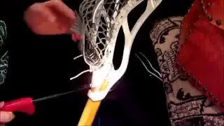 Stallion U 550 Live Stringing