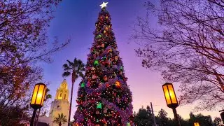 [4K] Christmas Tree Lighting - Disneyland Resort