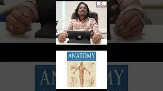 Anatomy- medical coding | @cloudsncodes #medicalcoding #education #careeropportunities