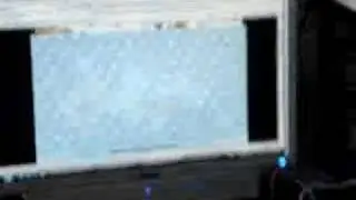 winterrowd reactions