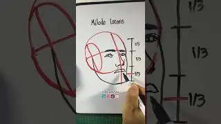 M&eacute;todo Loomis para dibujar rostros ✍️ #dibujo #arte #tutorial #drawing #art