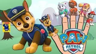Paw Patrol Finger Family Nursery Rhymes for Kids
