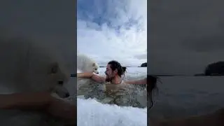 Бодрого утра🧊 #dogshorts #icehole #trendingshorts #training #dogtraining #dogevolution
