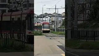 Pesa Swing 120NG #1035