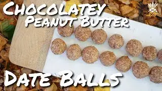 Easy Peanut Butter & Chocolate Date Ball Recipe (Vegan, Plant-based)