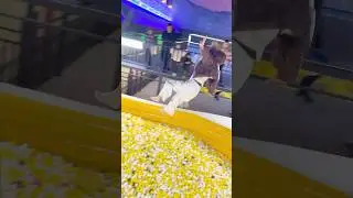 #6532Do you have 😮😮😳this sport in your country?! #Trampoline #Aerial Man#game #funny