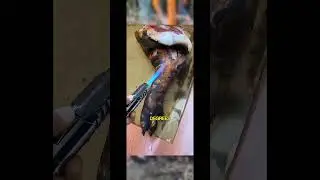 1800&deg; High Temp Spray Gun | Windproof Butane Lighter | Welding & DIY Tool