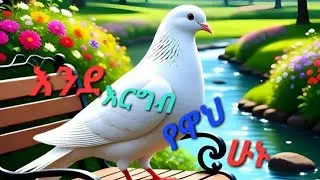 እንደ እርግብ የዋህ ሁኑ  is live